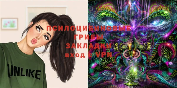 mdma Бородино