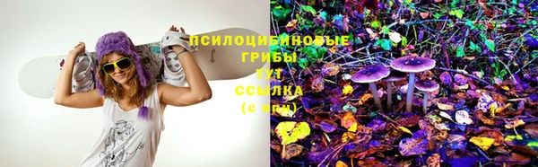 mdma Бородино