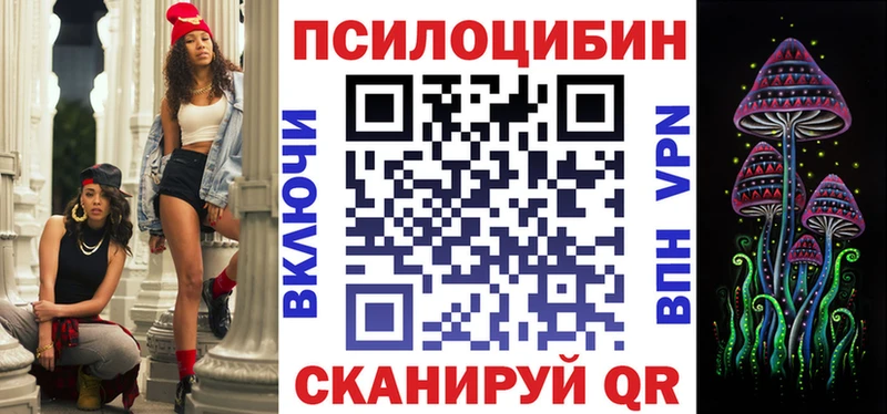 Купить где  Иркутск  Псилоцибиновые грибы Psilocybe 