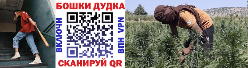 Купить где  Иркутск  Конопля планчик 